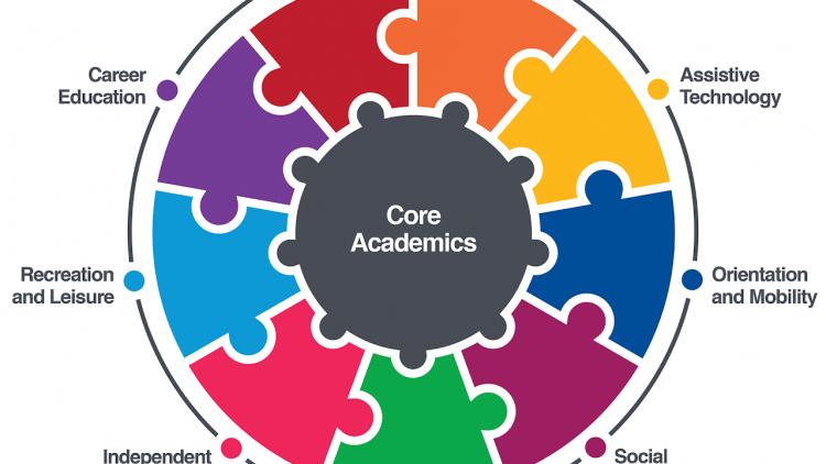 ECC Chart Image via Perkins.org: A graph of the expanded core curriculum skill areas. The graph has a central area marked 'Core Academics', and the ECC Skill areas radiate around it, with the following ECC skill areas from top right circling around to top left: Sensory Efficiency, Assistive Technology, Orientation and Mobility, Social Interaction, Self-Determination, Independent Living, Recreation and Leisure, Career Education, and finally - Compensatory Access.